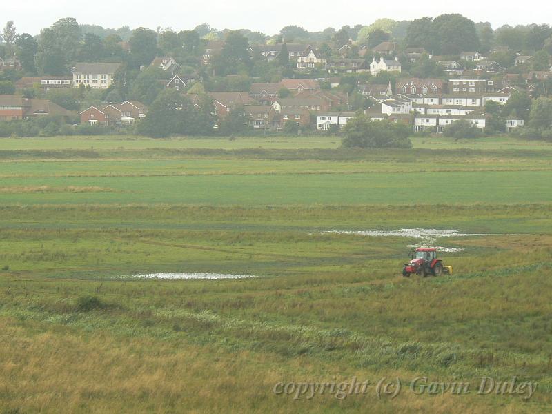 Pulborough Brooks P1120942.JPG